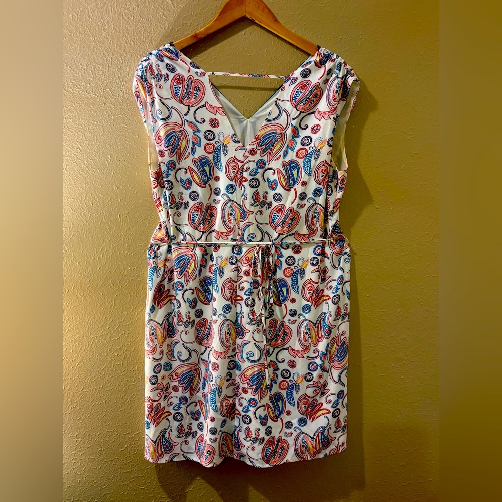 Paisley dress.  Size large.